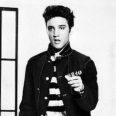 Elvis