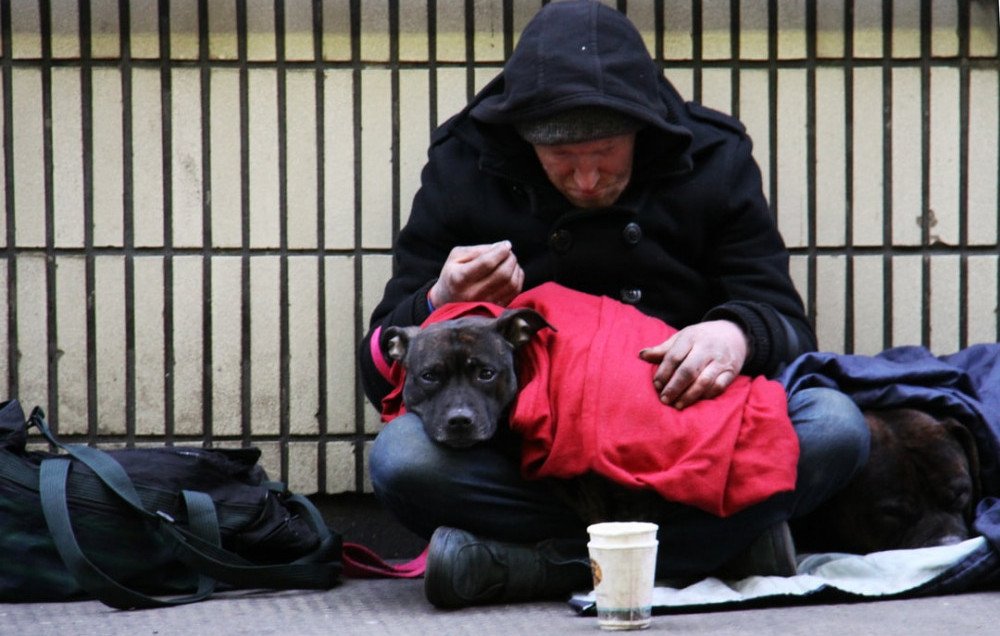 One man and his dog, homeless.